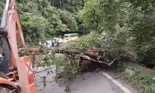 கொட்டி தீர்த்த பலத்த மழை: குன்னூர் மலைப்பாதையில் மண்சரிவு-மரங்கள் முறிந்து விழுந்தன