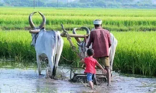 பலனை எதிர்பாராதே!