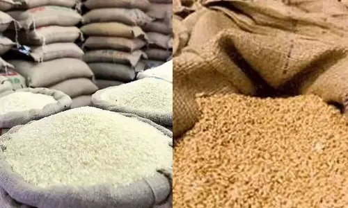 கடந்த ஆண்டில் தமிழகம் பெற்ற உணவு தானியங்கள் எவ்வளவு?- மத்திய அரசு தகவல்