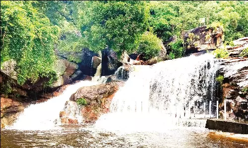 திருப்பூரில் பலத்த மழை: அமராவதி அணை-நொய்யல் ஆற்றில் நீர்வரத்து அதிகரிப்பு