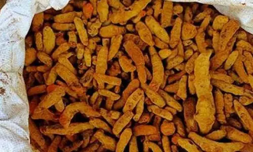 தூத்துக்குடியில் இருந்து இலங்கைக்கு கடத்த முயன்ற ரூ.50 லட்சம் மதிப்புள்ள விரலிமஞ்சள் பறிமுதல்