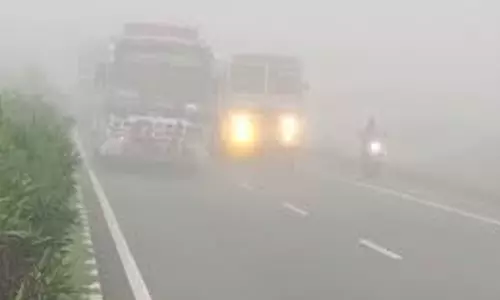 நெல்லூரில் வழக்கத்துக்கு மாறாக கடுமையான பனிப்பொழிவு