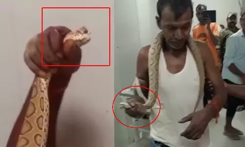 பாருங்க, இதுதான் கடித்தது.. கையில் விஷ பாம்புடன் மருத்துவமனையை அலறவிட்ட நபர்