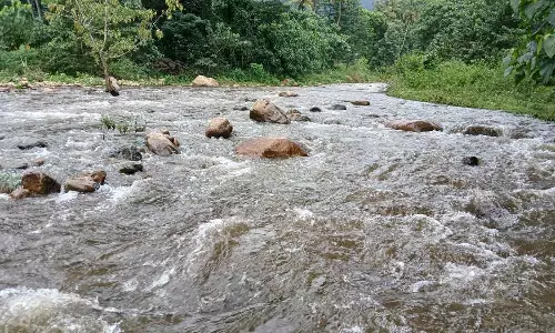 கல்லார் ஆற்றில் கரைபுரண்டு ஓடும் காட்டாற்று வெள்ளம்- சுற்றுலா பயணிகள் கண்டு ரசித்தனர்