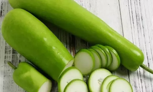 சிறுநீரகத்தை சுத்தப்படுத்தும் சுரைக்காய்!