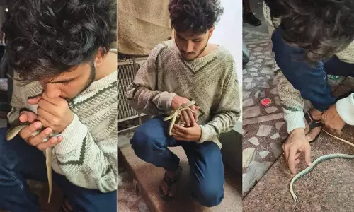 Gujarat Man Saves Snakes Life
