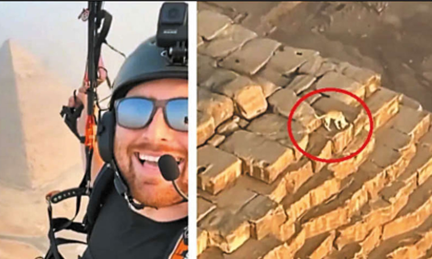 பிரமிடின் உச்சியில் உலவிய நாய் Paraglider spots dog on top of Great