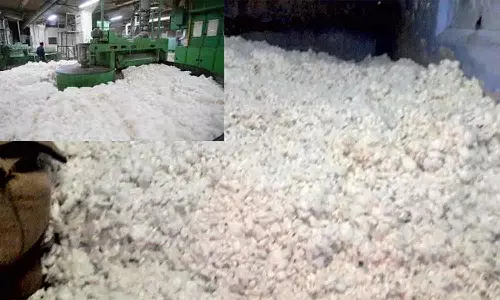 தொழில் புரட்சிக்கு வித்திட்ட பஞ்சாலை