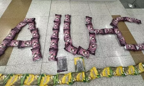 டெல்லி விமான நிலையத்தில் ரூ.15 கோடி போதைப்பொருளை கண்டுபிடித்த மோப்ப நாய்