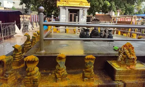 நலம் தரும் நாக சதுர்த்தி விரதம்