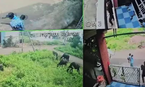 வீட்டிற்குள் புகுந்து குழந்தைகள் கடத்தல்: பதைபதைக்க வைக்கும் வீடியோ