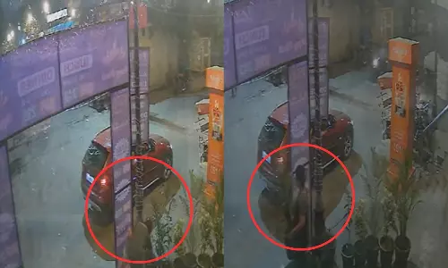 BMW காரில் வந்து பூந்தொட்டியை திருடி செல்லும் பெண் - வீடியோ வைரல்