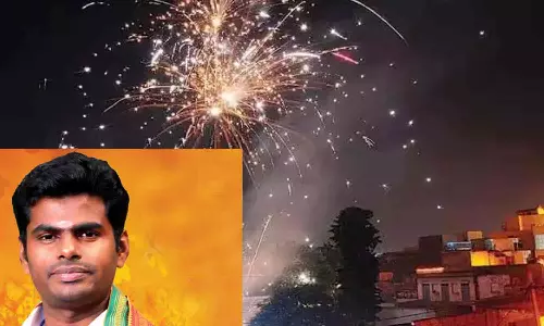 அனைவரின் வாழ்விலும் ஒளியேற்றும் நாளாக தீபாவளி அமையட்டும்- அண்ணாமலை வாழ்த்து