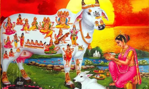 கோ பூஜை முறை