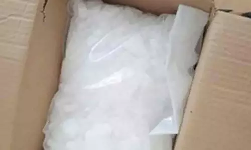 சென்னையில் ரூ.27 கோடி மதிப்புள்ள போதைப்பொருள் பறிமுதல்