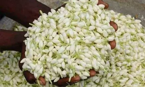 தீபாவளி பண்டிகை: தஞ்சையில் மல்லிகை கிலோ ரூ.2000-க்கு விற்பனை