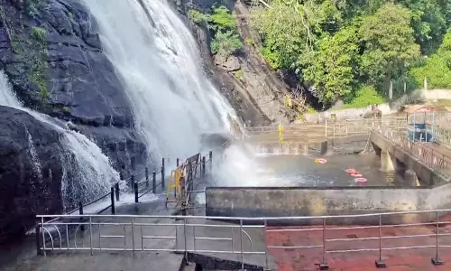 இரவில் பெய்த கனமழை: பழைய குற்றாலம் அருவியில் மட்டும் குளிக்க அனுமதி