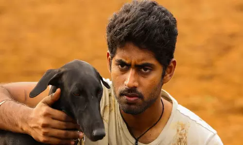 பரியேறும் பெருமாள் படத்தில் நடித்த கருப்பி உயிரிழப்பு