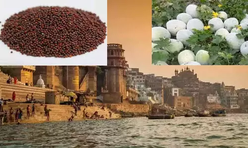 பழமொழியும் சொலவடையும்!