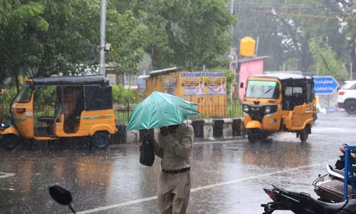 20 மாவட்டங்களில் மதியம் 1 மணி வரை மழைக்கு வாய்ப்பு