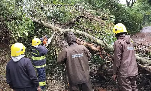 குன்னூரில் 9.6 செ.மீ. மழை கொட்டியது- 16 இடங்களில் மரங்கள் விழுந்து மின்சாரம் துண்டிப்பு