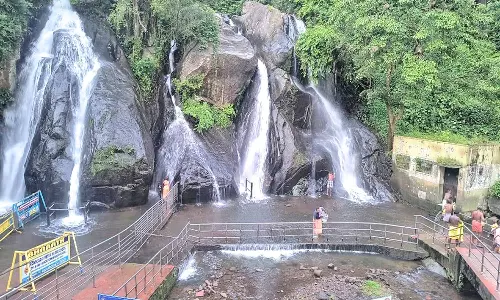 குற்றாலத்தில் காலை முதல் குளிக்க அனுமதி