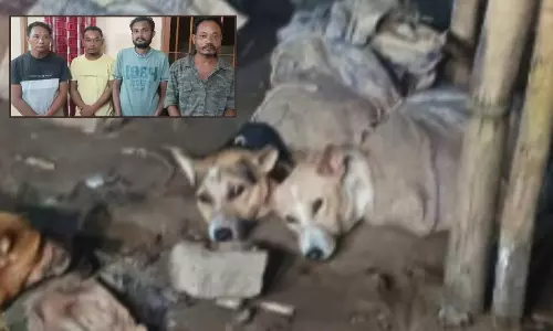 அசாமில் இறைச்சிக்காக அடைத்து வைக்கப்பட்டிருந்த 19 நாய்களை மீட்ட போலீசார் - 4 பேர் கைது