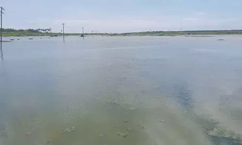 குமரியில் குளமாக மாறிய உப்பளங்கள்- உப்பு உற்பத்தி கடும் பாதிப்பு