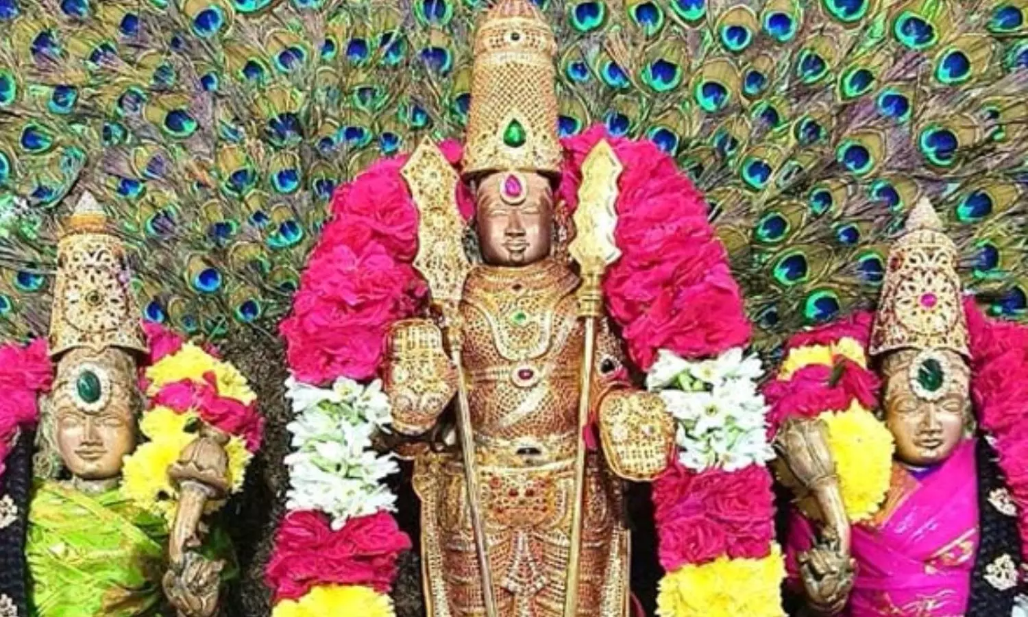 செல்வ வளம் தரும் வல்லக்கோட்டை முருகன்