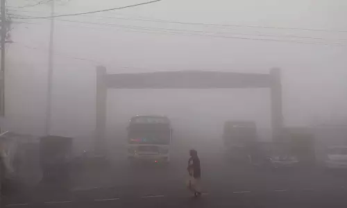 ஏற்காட்டில் பனிப்பொழிவு- குளிரால் பொதுமக்கள் கடும் அவதி