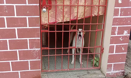 காவல் உதவி மையத்திற்குள் நாயை பூட்டி சென்ற போலீசார்