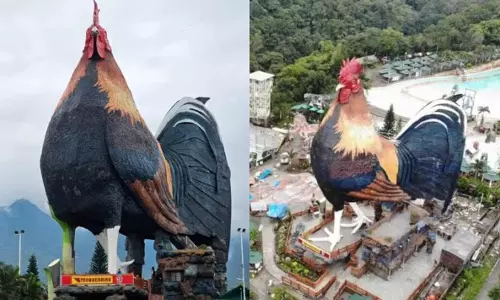 உலகின் மிகப்பெரிய கோழி வடிவ ஓட்டல் - கின்னஸ் சாதனை படைத்த பிலிப்பைன்ஸ் ரிசார்ட்