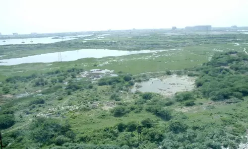 பள்ளிக்கரணை சதுப்பு நிலத்தை ரூ.21 கோடி செலவில் சீரமைக்க வனத்துறை முடிவு