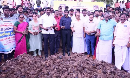 செங்கல்பட்டு மாவட்டத்தில் 5 லட்சம் பனைமரம் நட இலக்கு- அமைச்சர் தா.மோ. அன்பரசன் பேச்சு