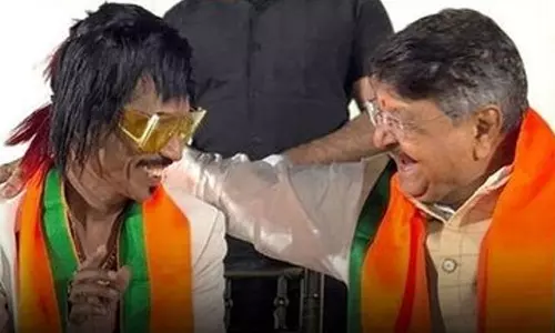 மகாராஷ்டிரா சட்டசபை தேர்தல்... பாஜகவுக்கு ஆதரவாக பிரசாரத்தில் ஈடுபடும் இன்ஸ்டா பிரபலம்