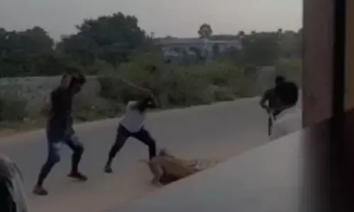 கர்ப்பமாக இருந்த நாய் உட்பட 3 தெரு நாய்களை அடித்தே கொன்ற 4 பேர் கைது