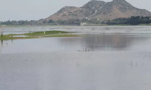 மதுராந்தகம் ஏரியில் 4-வது ஆண்டாக தண்ணீர் தேக்கப்படவில்லை- 60 கிராம மக்கள் வேதனை