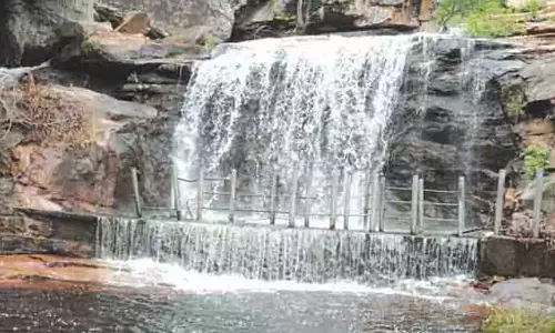 உடுமலை பஞ்சலிங்க அருவியில் நீர்வரத்து அதிகரிப்பு- சுற்றுலா பயணிகள் குளிக்க தடை