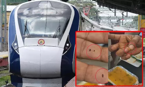 வந்தே பாரத் ரெயிலில் வழங்கப்பட்ட உணவில் வண்டு- உணவு விநியோகித்த நிறுவனத்துக்கு ரூ.50,000 அபராதம்