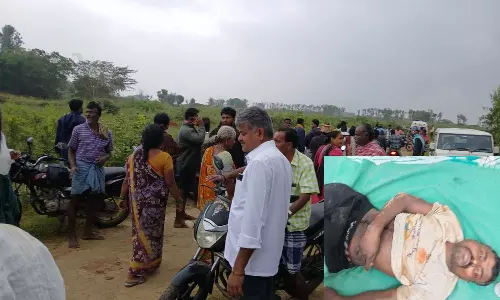 காட்டு யானை தாக்கி கூலி தொழிலாளி படுகாயம்