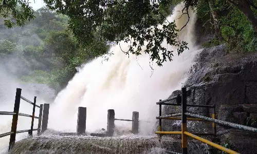 திடீர் வெள்ளப்பெருக்கு: மேகமலையில் அவசரமாக வெளியேற்றப்பட்ட சுற்றுலாப் பயணிகள்