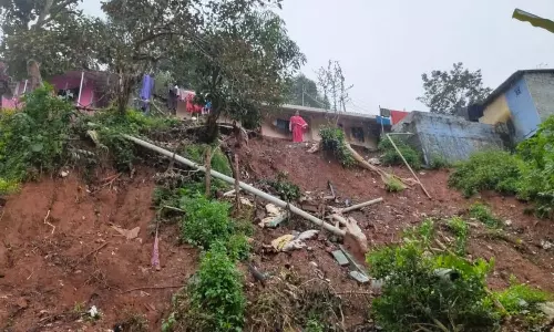 கோவை, நீலகிரியில் மழை: மரங்கள் விழுந்து போக்குவரத்து பாதிப்பு