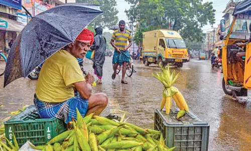 கனமழை: தஞ்சை மாவட்டத்தில் பள்ளிகளுக்கு விடுமுறை