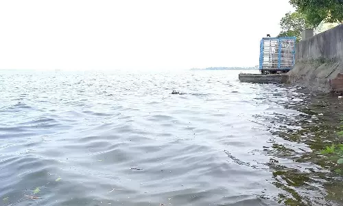 சேலம் மாவட்டத்தில் மழை நீடிப்பு- 21 ஏரிகள் முழுமையாக நிரம்பின