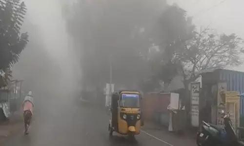 ஏற்காட்டில் வரலாறு காணாத குளிரால் வெறிச்சோடிய சுற்றுலா தலங்கள்