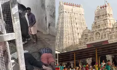 இருவர் உயிரிழப்பு- பரிகார பூஜைக்கு பிறகு திருச்செந்தூர் கோவில் நடை திறப்பு