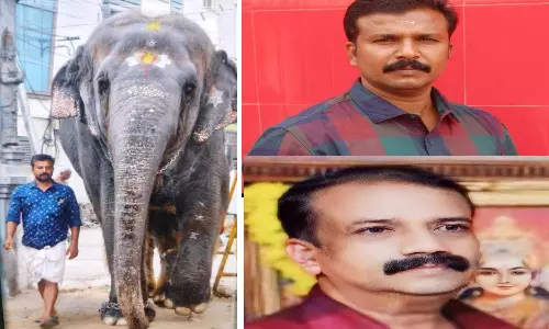 நீண்ட நேரம் செல்பி எடுத்த உறவினரால் பாகனும் பலியான பரிதாபம்