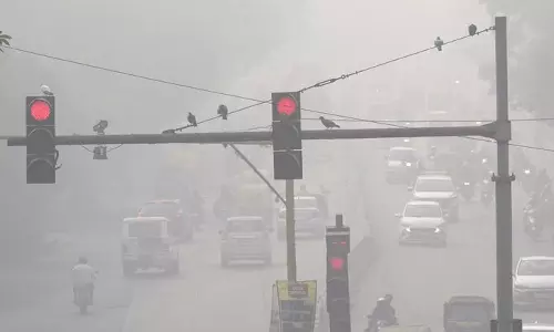 காற்று மாசு எதிரொலி: வீட்டில் இருந்தே வேலை திட்டத்தை அறிமுகப்படுத்த டெல்லி அரசு முடிவு