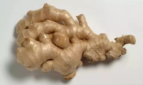 இஞ்சியின் மருத்துவ குணங்கள்!