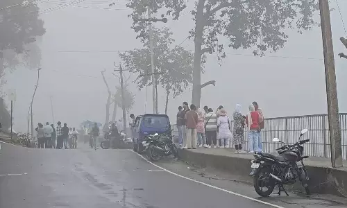 கொடைக்கானலில் பனிப்பொழிவு: வாகன ஓட்டிகள் கடும் அவதி